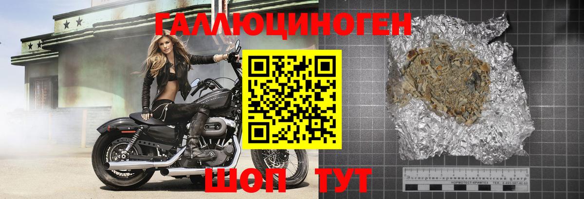 Псилоцибиновые грибы Psilocybe Великий Новгород