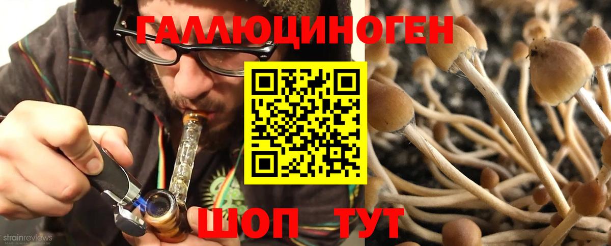 где купить наркоту  Галлюциногенные грибы мухоморы  Вход с VPN  Великий Новгород 